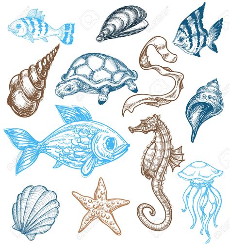 How to draw Sea Animals and Fish .